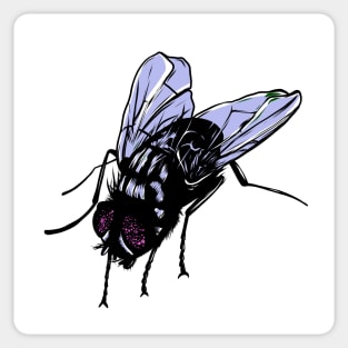 Fly Sticker